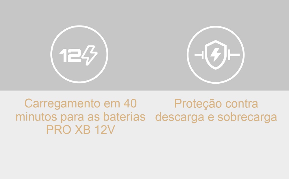 Carregador de Bateria E-Series Pro XC
